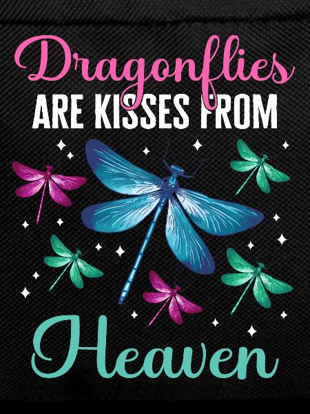 Dragonfly Dragonflies Insects Nature
