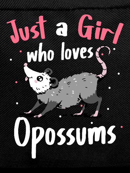 Opossum Possum Animal