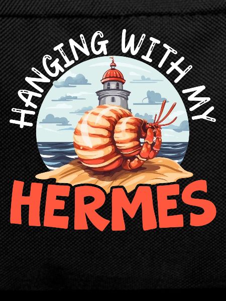Cute hermit crab crab crustaceans
