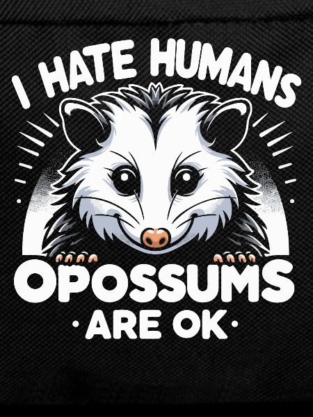 Opossum Possum Animal