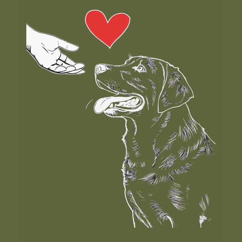 Labrador Chien Chiens