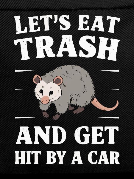 Opossum Possum Animal