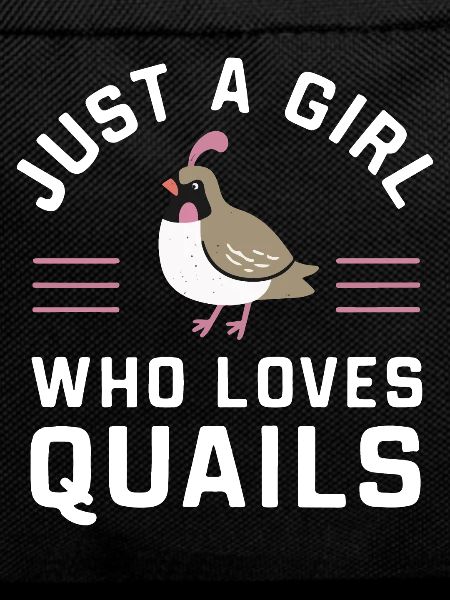 Quail Bird Quails