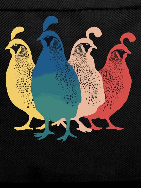 Caille Oiseau Cailles
