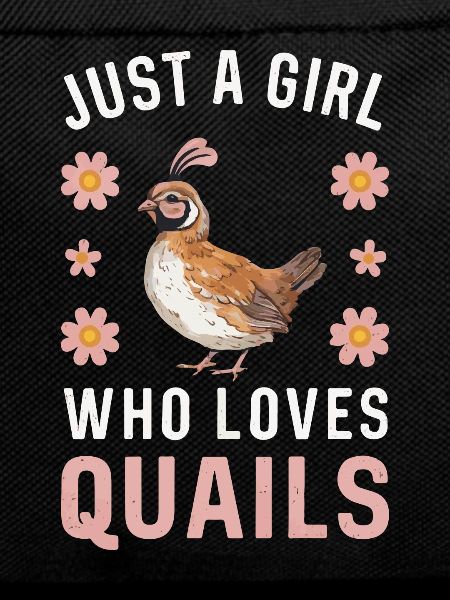 Quail Bird Quails
