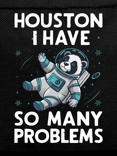 Panda Bear Panda Animal Pandas