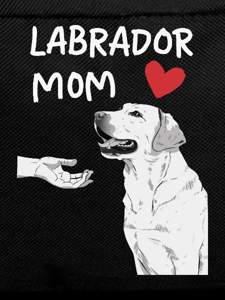 Labrador Dog