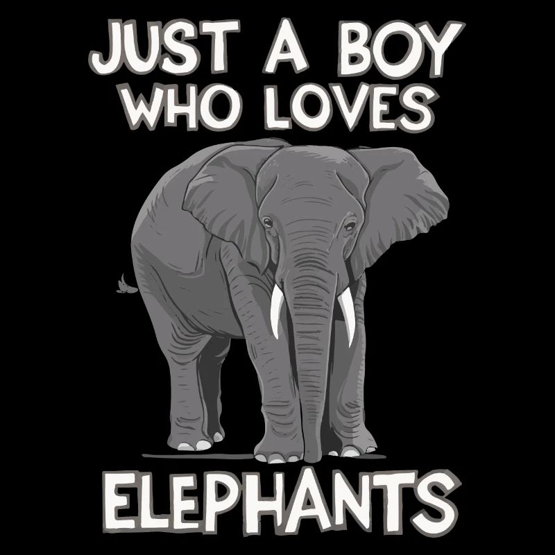 Elefant Tier Elefanten Zoo