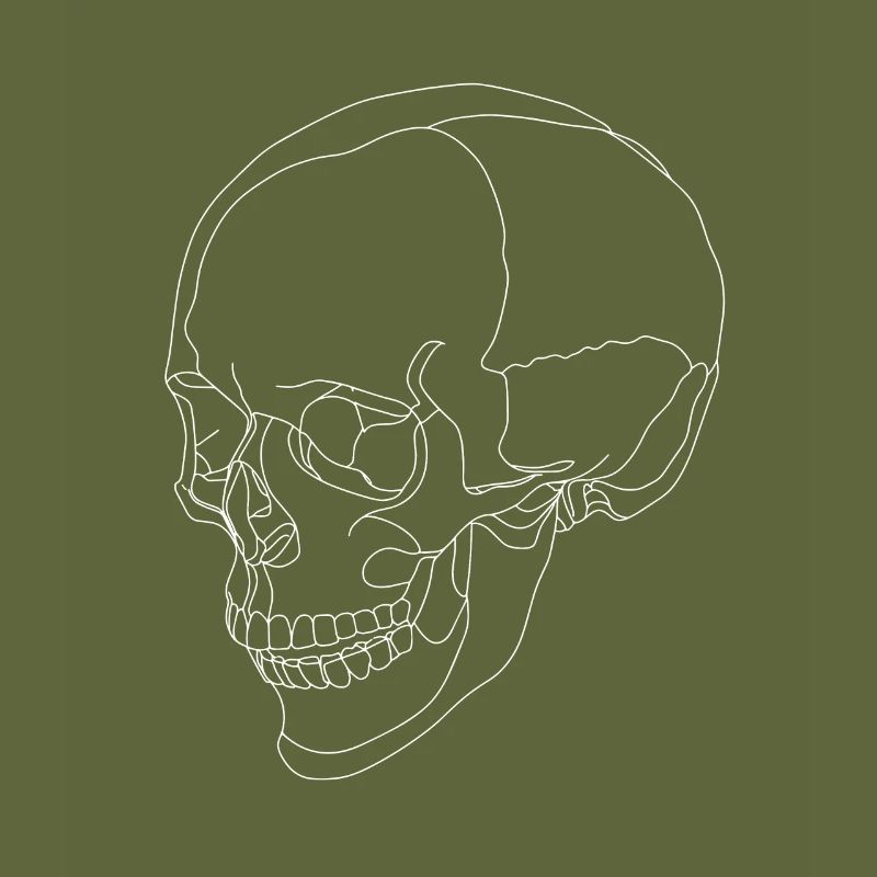 Skull - skull - skeleton - a line