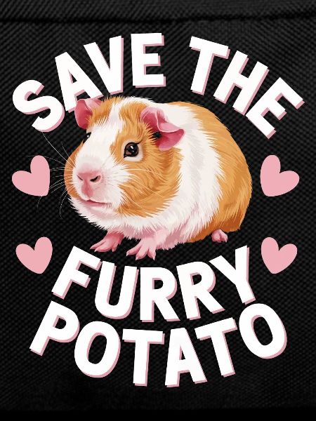 Guinea pig