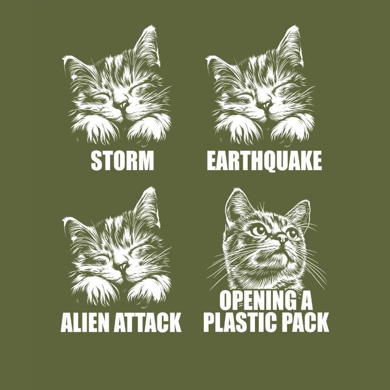 Cat - selective perception - saying
