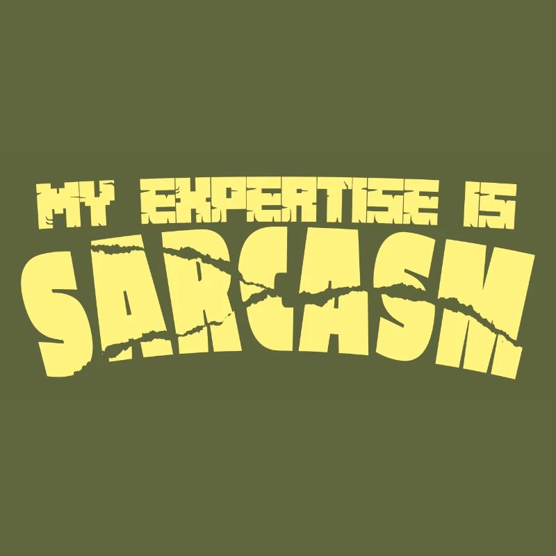 Sarcasm expert