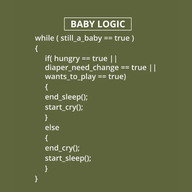 Computer Programmer Coders Software Engineers Gift