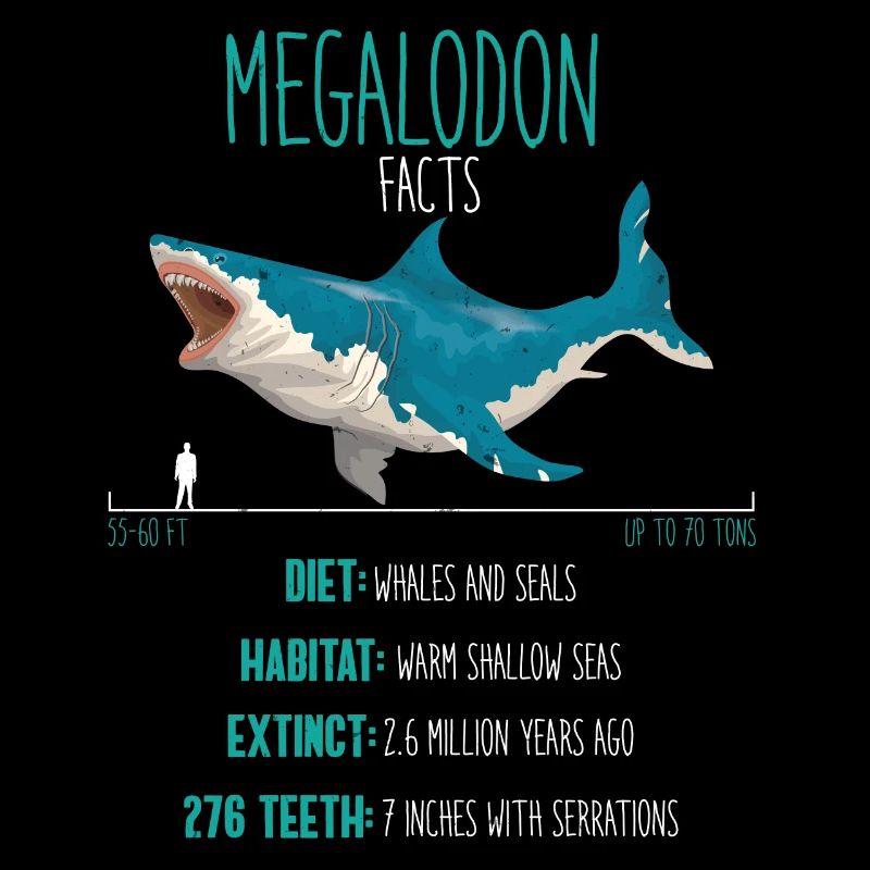 Faits de mégalodon de requin, espèces de requins, cadeau de requin
