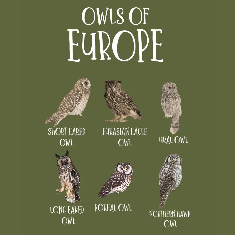 Eulenarten, Eulen & Kauze, Eule Fan