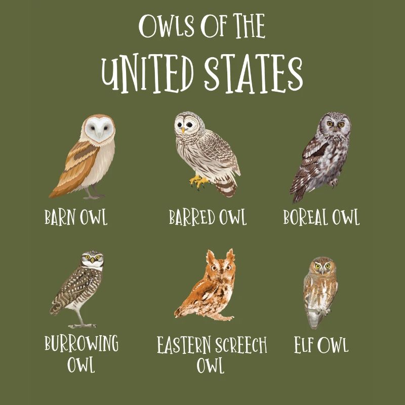 Eulenarten, Eulen & Kauze, Eule Fan