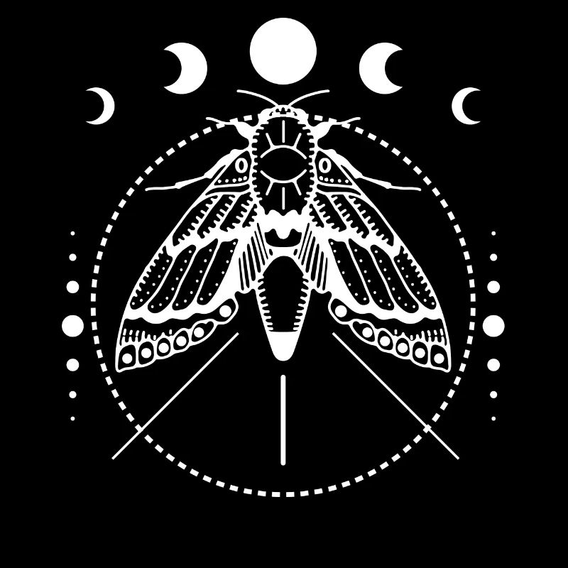 Moth, Moth, Moon Phases, Tarot