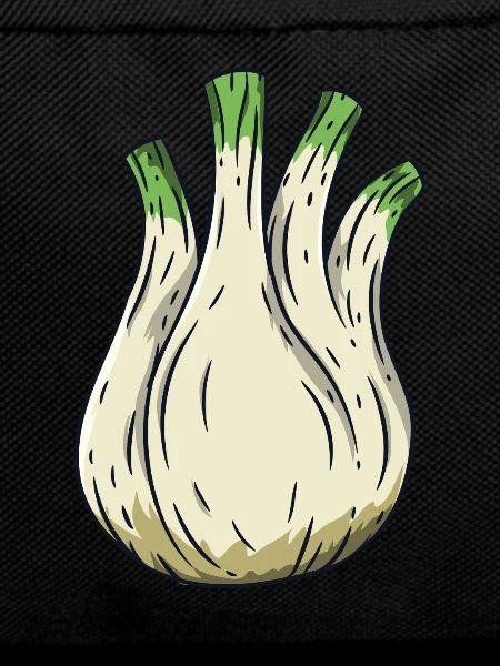 fennel