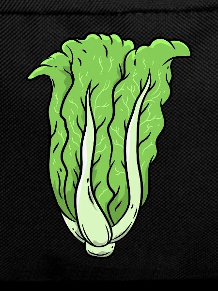 Kohl Gemüse