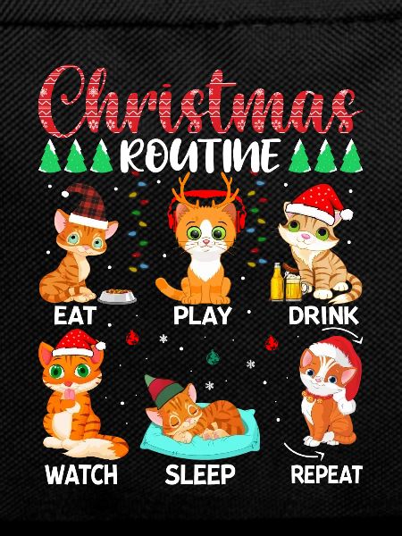 Christmas Routine Cat