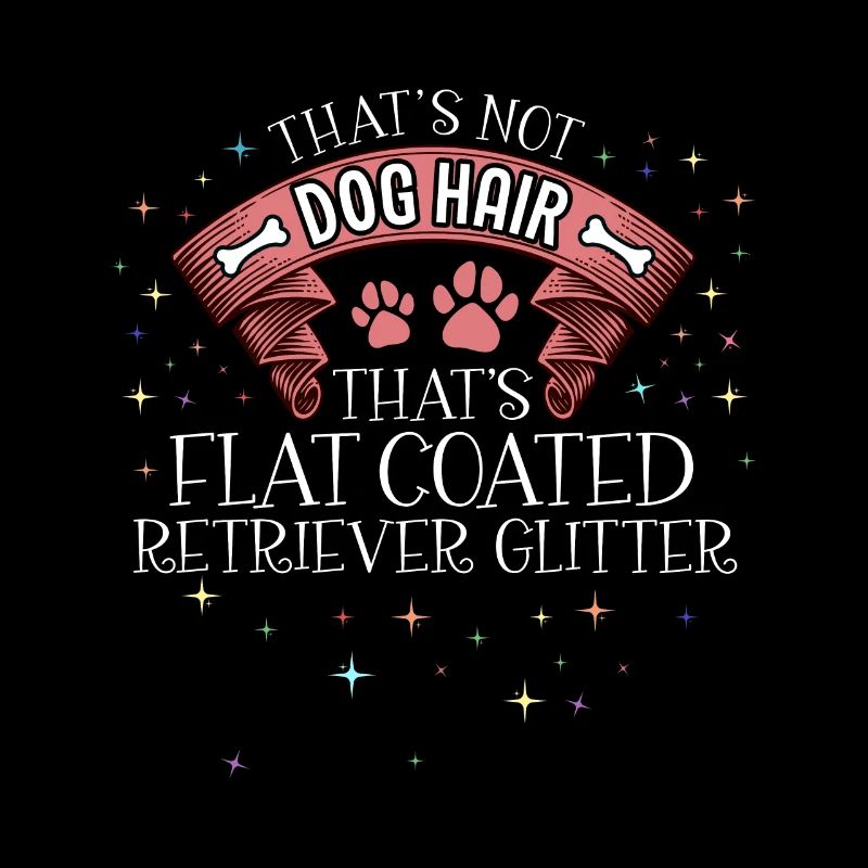 Ceci est Flat coated retriever Glitter Dog