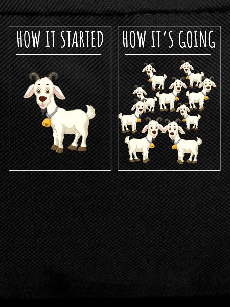 Goatherd, Goat, Goat