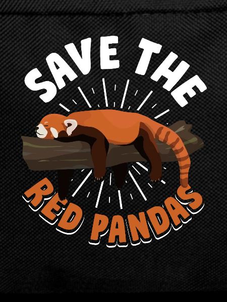 Red Panda Panda Bear