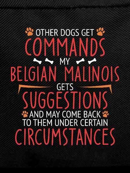 Belgian Malinois Commands Belgian Shepherd