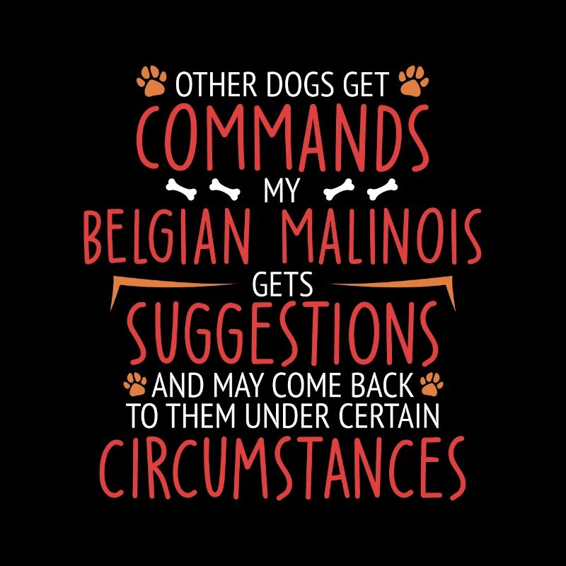 Belgian Malinois Commands Belgian Shepherd