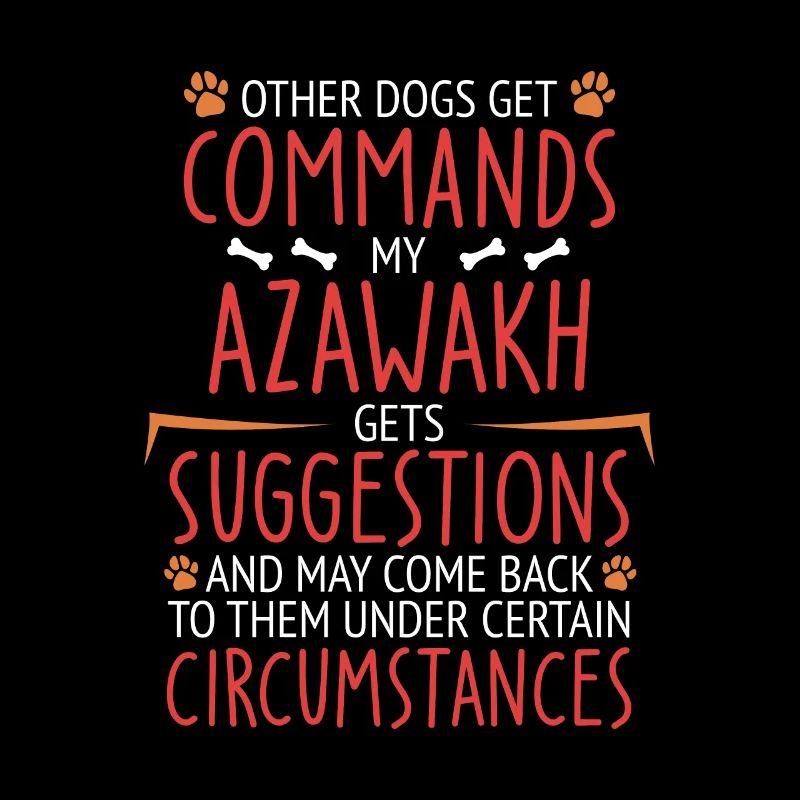Azawakh Commands paw