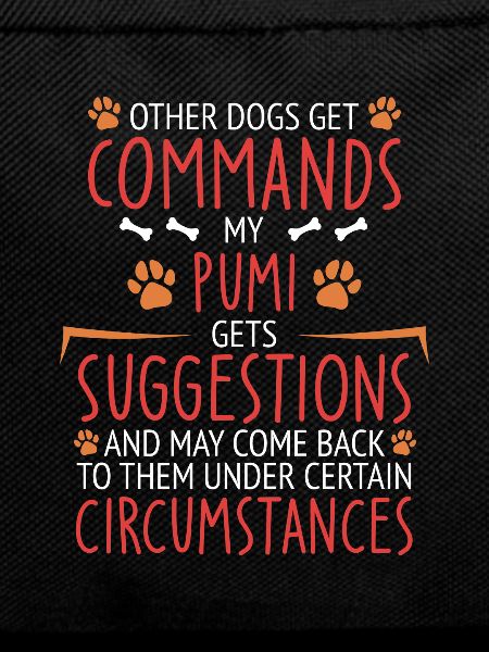 Pumi Commands Paw