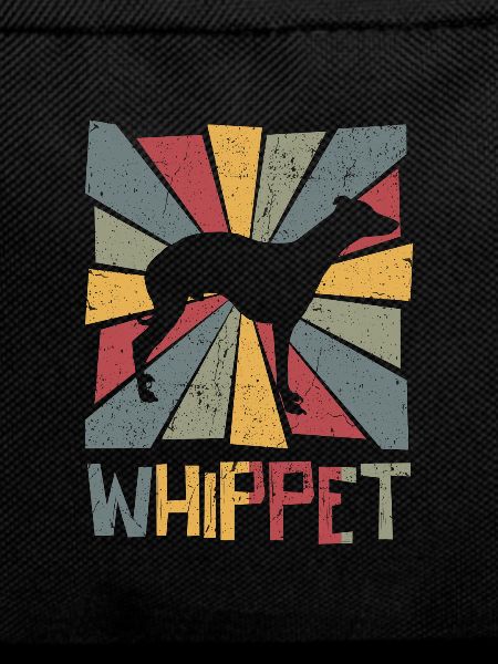 Whippet