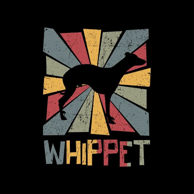 Whippet