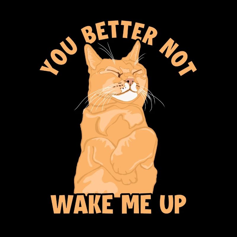 You Better Not Wake Me Up Chat de maison Chat de