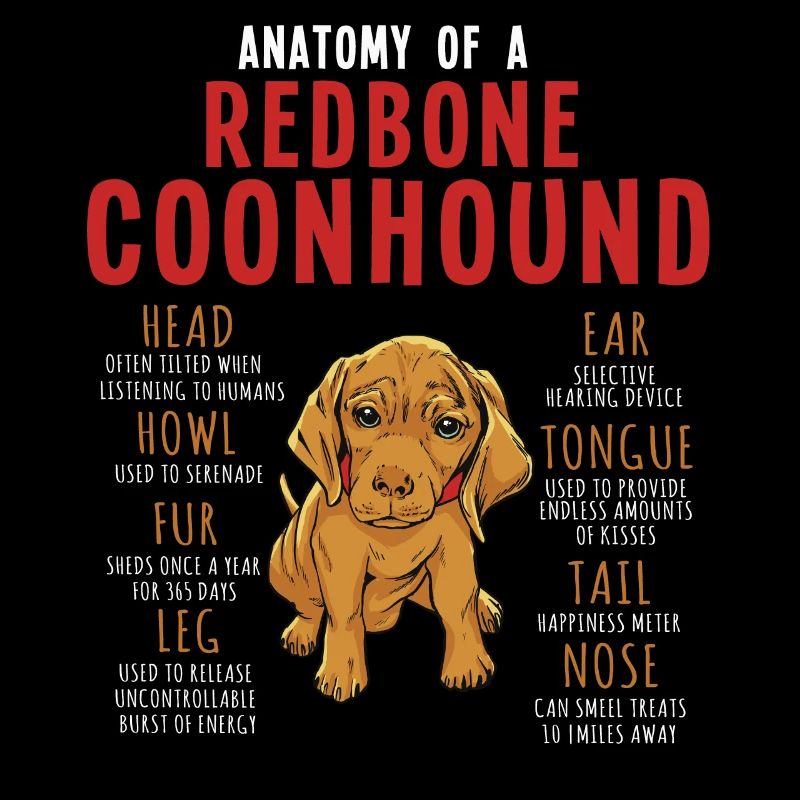 Anatomie Eines Redbone Coonhounds