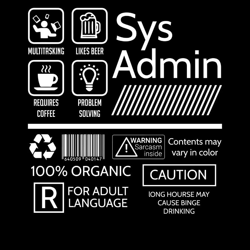 Administrateur système, Administrateur système