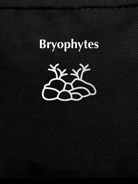 Bryophytes