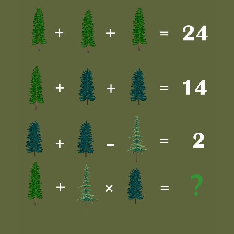 Math Teacher Equation