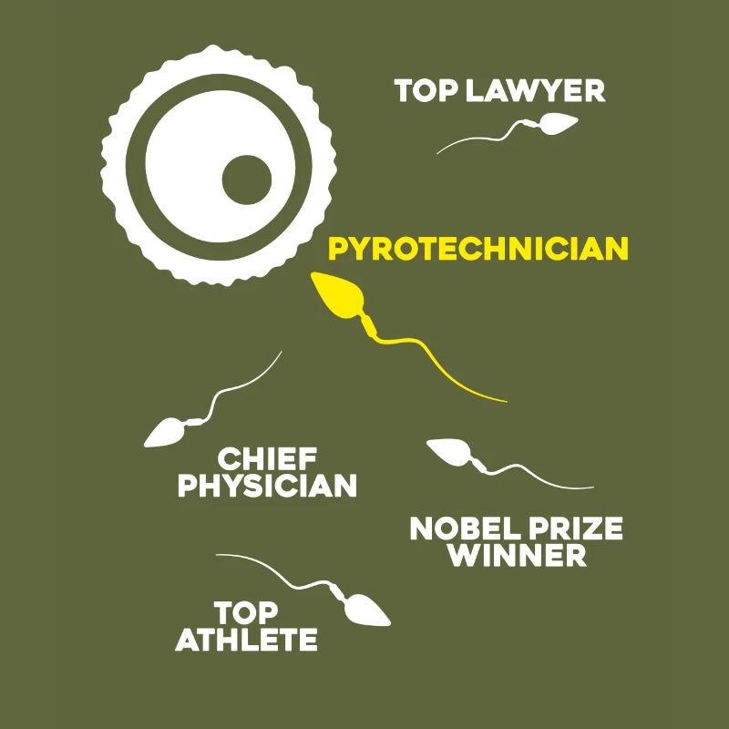 Pyrotechnician Fireworks Pyrotechnics Pyrotechnician