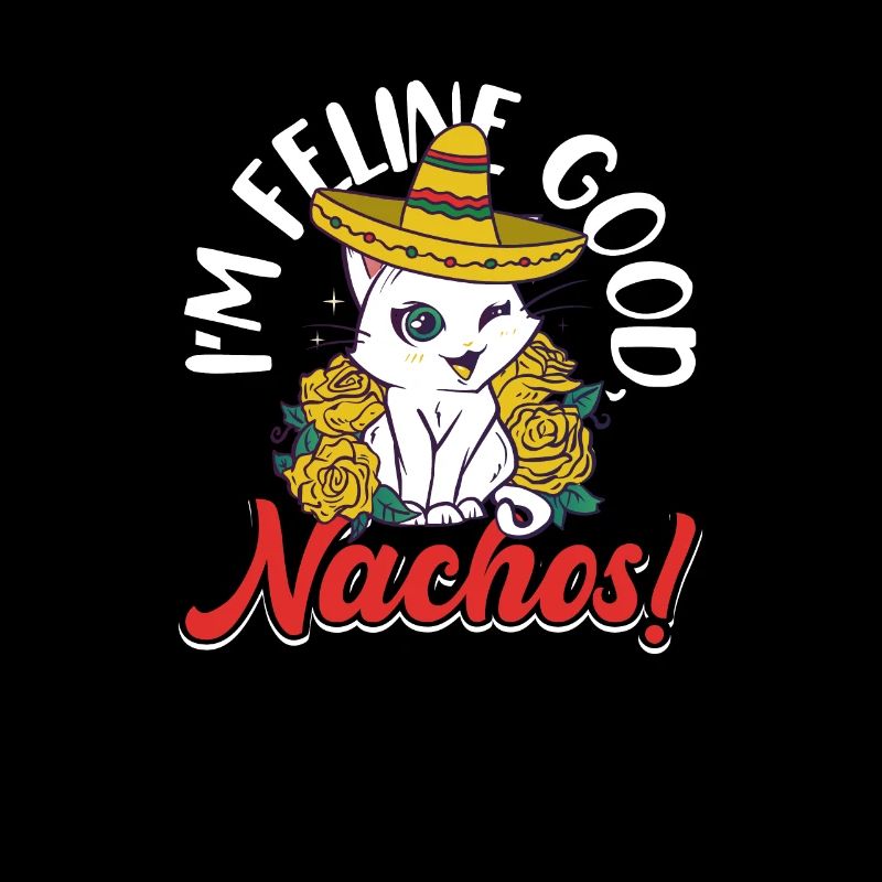 Cinco de Mayo Party Mexico