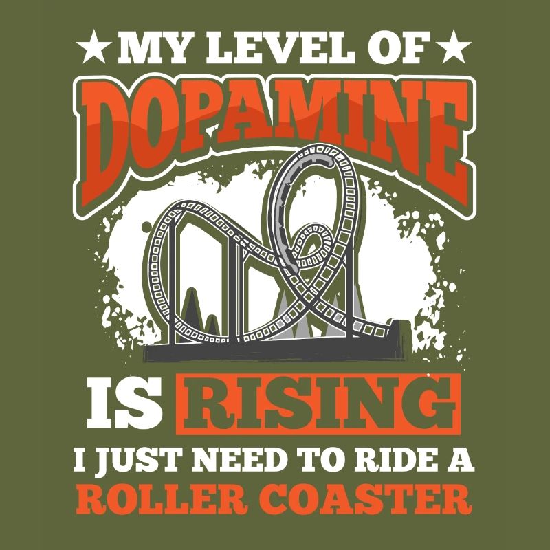 Park Riding Roller Coaster