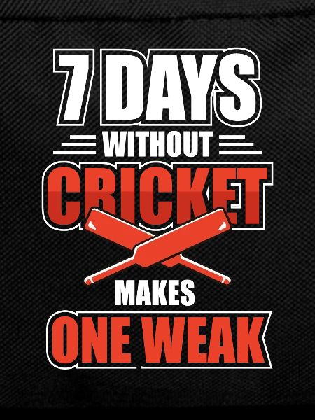 Cricket Sports Game
