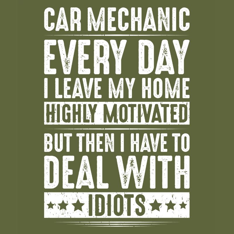 Automotive Mechatronics Engineer Car Mechanic Auto Mechanic
