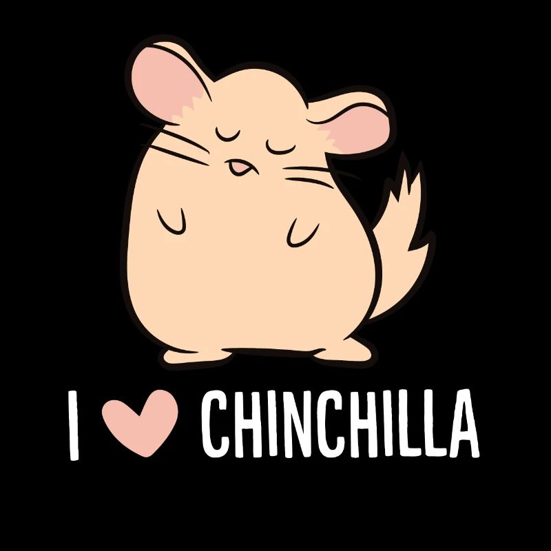 Chinchilla - I love Chinchilla