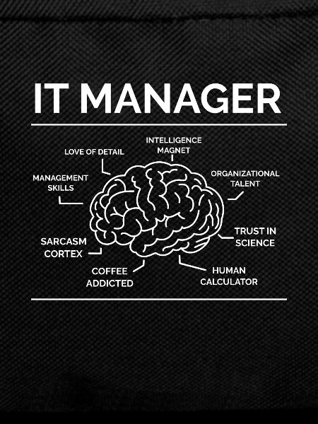 IT Manager