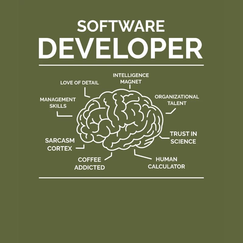 Software Developer