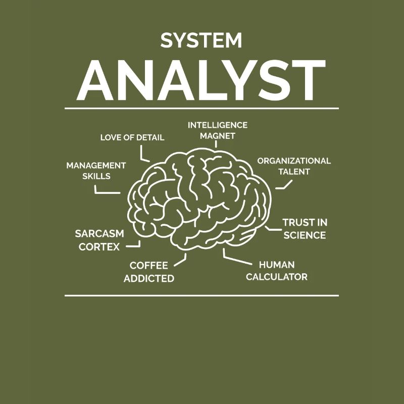 Systemanalytiker