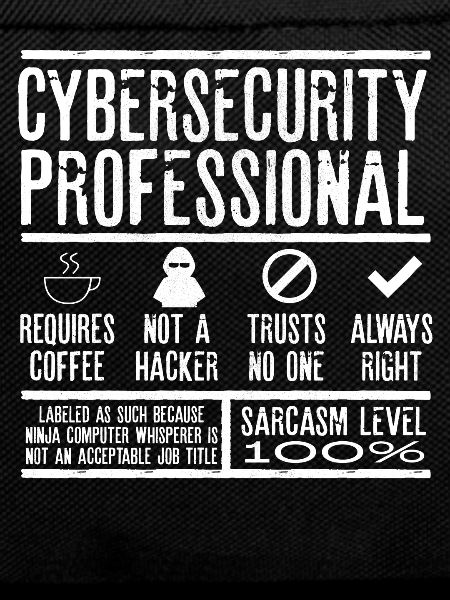 Cybersecurity Expert