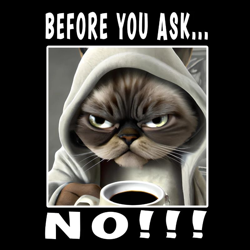 Before you ask no