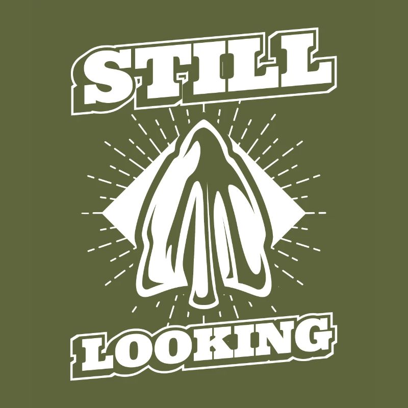 Still Looking Arrowhead Collecting Hunting Tips